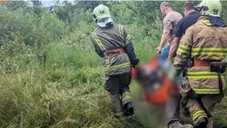 Дерево вбило чоловіка та «відрубало» громаду на Прикарпатті від світла (фото)