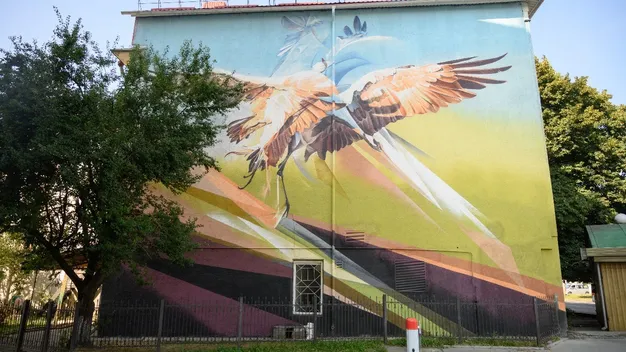 У Луцьку розпочався фестиваль стріт-арту «Lutsk Wallking» (НАЖИВО)