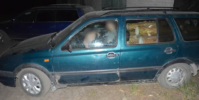 На Волині зловили молодиків, які «напакували» свої легковики сосновими колодами (фото, відео)