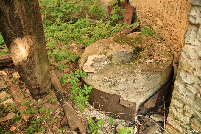 Де стоїть останній кам'яний вітряк Волині (фото)