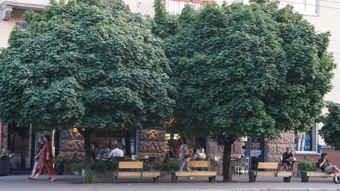 Невелика хмарність: погода у Луцьку на середу, 31 липня