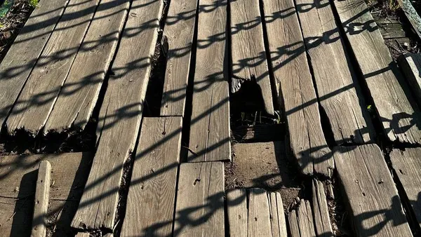 У дірках, наче решето: у Володимирі на мосту травмувалася жінка (фото)
