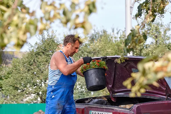 Луцький скульптор заквітчав соняхами 600 кілометрів волинських доріг (відео)
