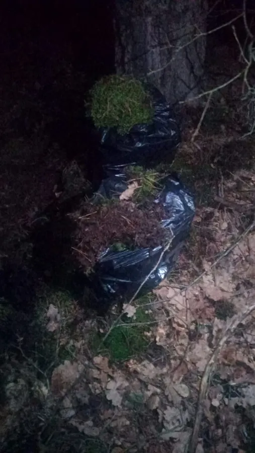 У бусі та в лісі: луцькі прикордонники знайшли майже 2400 пачок сигарет (фото)