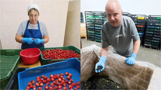 «Досвід має значення»: як на Волині працевлаштовують 50-річних робітників
