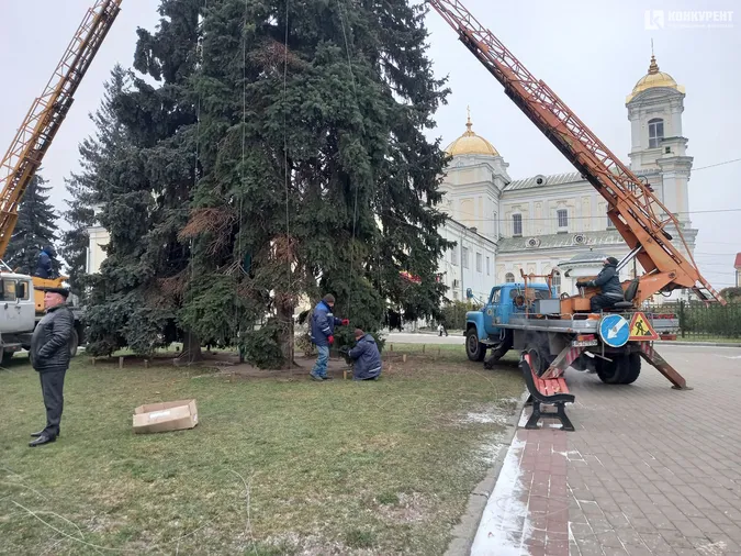 У Луцьку почали прикрашати головні ялинки (фото, відео)