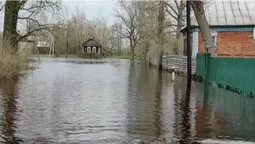 Вода по коліна і пліснява на стінах: на Волині люди роками страждають від затоплення будинку (відео)