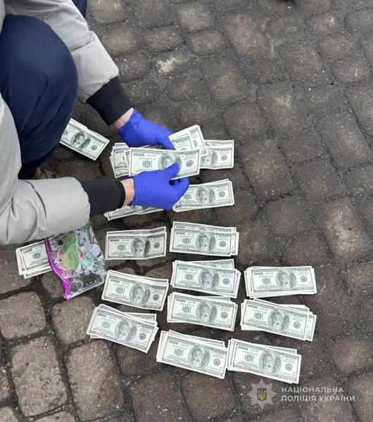 Взяли на гарячому: на Волині викрили цинічну схему втечі ухилянтів за кордон