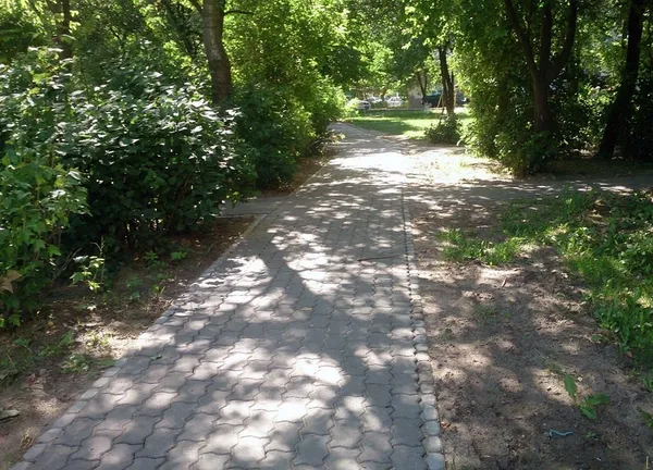 Вулиці Луцька облаштували пішохідними доріжками (фото)