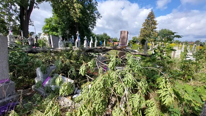 Зруйновані надгробки: у Володимирі сильний вітер повалив дерево на кладовиші (фото)
