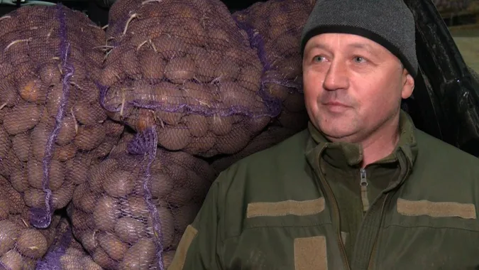 Німецька та голландська: на Волині ветеранам та родинам військових безплатно роздають картоплю (фото, відео)