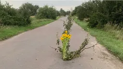 Провалля на волинській дорозі: дорожників просять усунути проблему (фото)