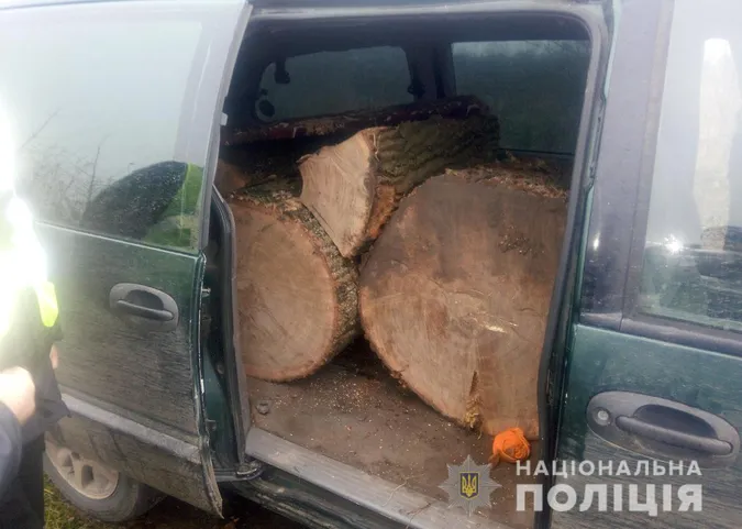 Дуби у «крайслері», сосни на КамАЗі: на Волині зловили крадіїв лісу (фото)