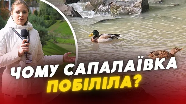 У Луцьку річка Сапалаївка наповнилась білою речовиною: що це було (відео)