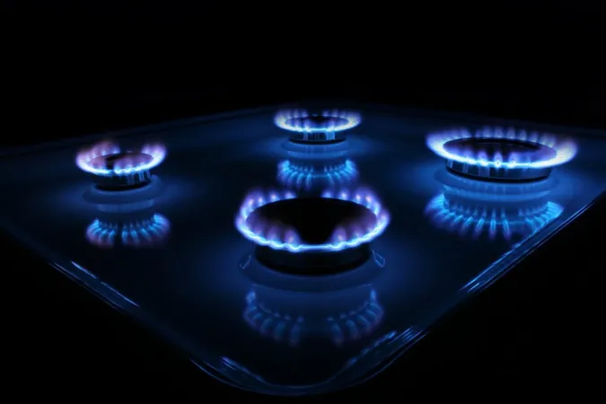 Дефолт або підвищення ціни на газ: експерт розповів, що краще