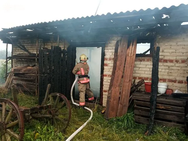 На Камінь-Каширщині через влучання блискавок сталися три пожежі (фото)