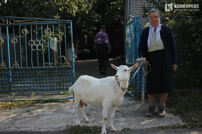 Бабине літо у селі під Луцьком (фото)