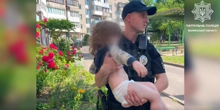 Сиділа біля відчиненого вікна: у Луцьку з підвіконня зняли маленьку дитину (відео)