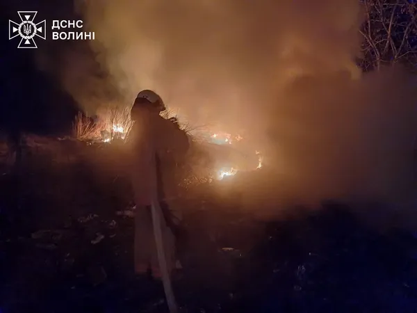 Підпали чи кинуті абиде недопалки: на Волині за добу вигоріли гектари сухостою (фото)