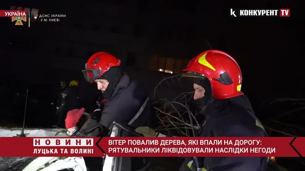 Повалені дерева на дорозі: на Волині вирувала негода (фото, відео)