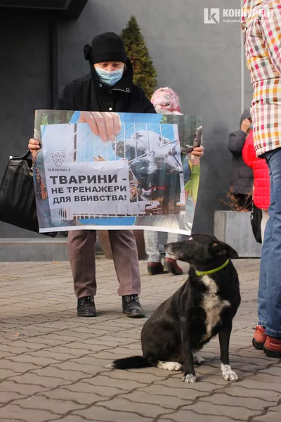 Луцькі зоозахисники пікетували управління поліції: що вимагали (фото)