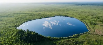 На Волині серед прадавніх боліт заховалося глибоке льодовикове озеро, якому 8 тисяч років (фото)