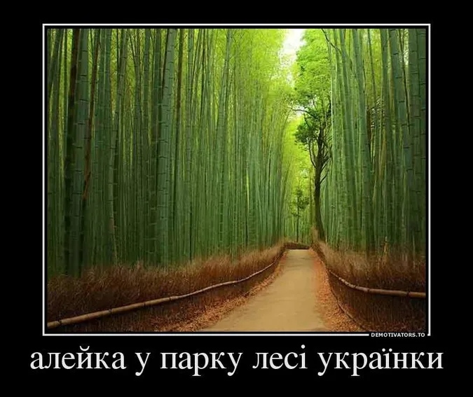 Підбірка іронічних демотиваторів про Луцьк (фото)