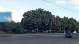 У Луцьку Lexus збив 71-річного дідуся на переході (фото)