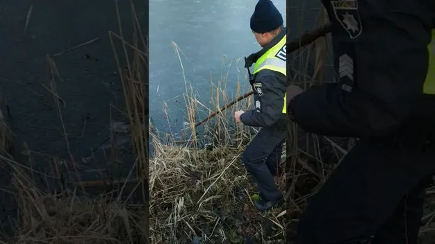 У Луцьку патрульні закладку з наркотиками викинули в канаву (відео)