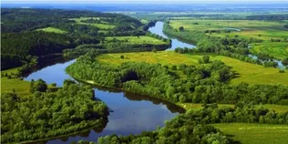 Із Волині у Дніпро через Білорусь, крізь болота та ліси несе свої води неймовірна річка (фото)