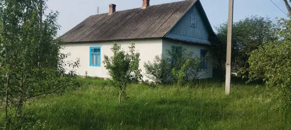 Як із дров і глини збудувати теплу оселю: досвід 70-річного майстра з Волині (фото)