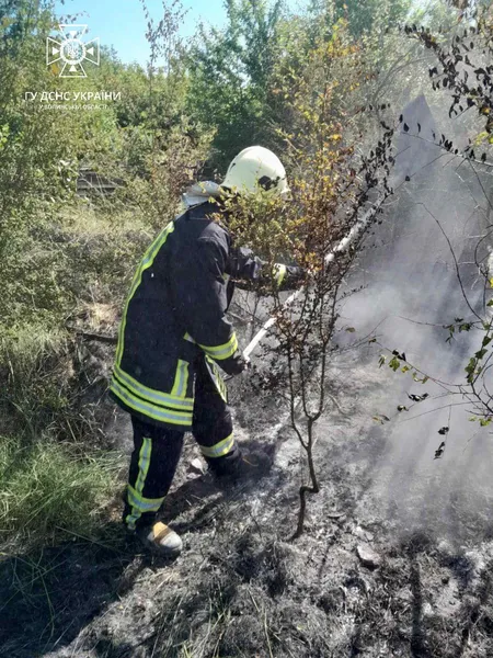 Суха рослинність, баня і будинки: за добу на Волині погасили 7 пожеж (фото)