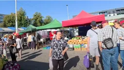На ринку у Луцьку продають особливий сорт корисної фіолетової картоплі (фото, відео)