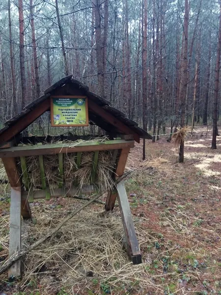 Як у нацпарку на Волині підгодовують лісових звірів (фото)