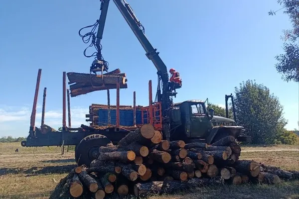 Деревину вантажать на автомобіль. Суспільне Луцьк