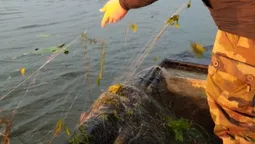 На Шацьких озерах вилучили браконьєрські сітки та ятері