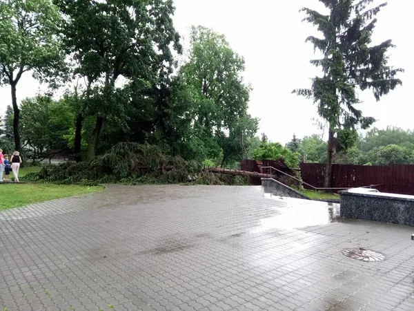 Як Луцьком пронеслася злива (фото, відео)
