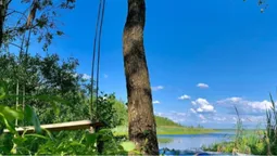 Аномальний ліс і загублене озеро: чим особливий курортний Шацький нацпарк