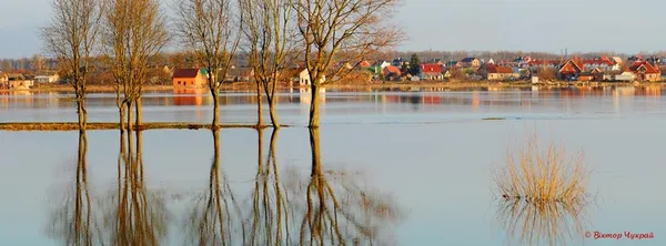 Луцький фотохудожник показав, як розлився весняний Стир