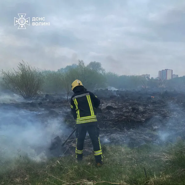На Волині знову палала суха трава: вогонь охопив понад 3 гектари території (фото)