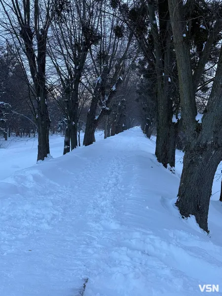 У Луцьку в центральному парку в мороз -17 °C бігав чоловік без одягу (фото, відео)