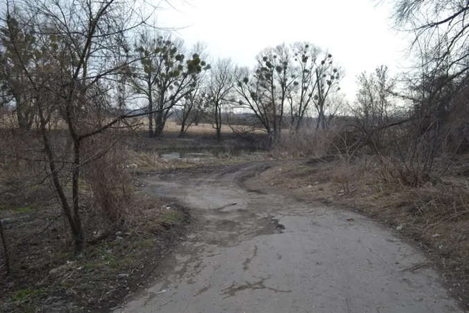 У «Старому місті» берег річки Стир забруднений сміттям (фото)
