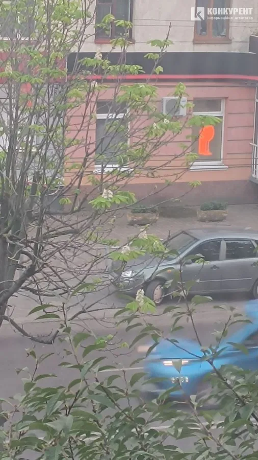 Природна аномалія: в осінньому Луцьку розцвів каштан (фото)