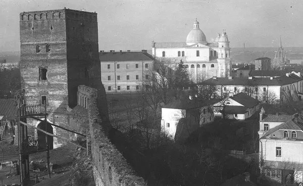 Яким він був: історія Лесиного ясена у фото