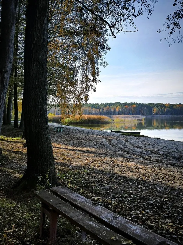 Осінній спокій озера Пісочне у Ковельському районі (фото)