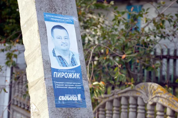 Округ № 23: у Камінь-Каширському районі стовпи «обклеєні» Пирожиком та Рицком