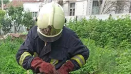 На Волині рятувальники витягнули цуценя з 25-метрового колодязя (фото)