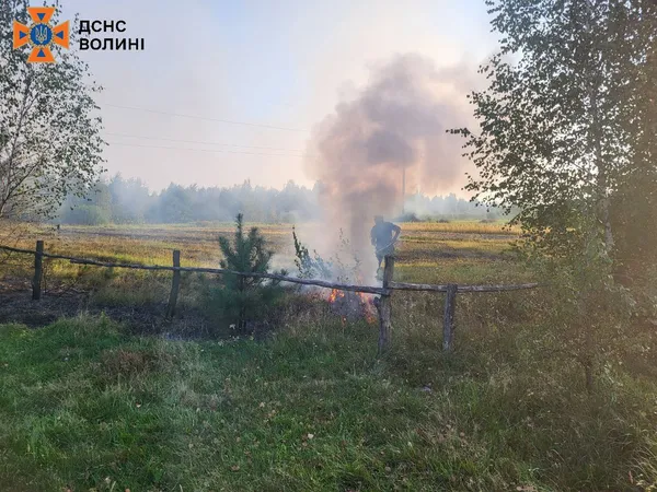 Грався з сірниками: на Камінь-Каширщині психічно хворий чоловік підпалив суху траву (фото)