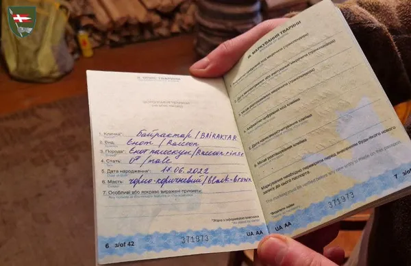 У «князівській» бригаді «служить» єнот на прізвисько Байрактар (фото)