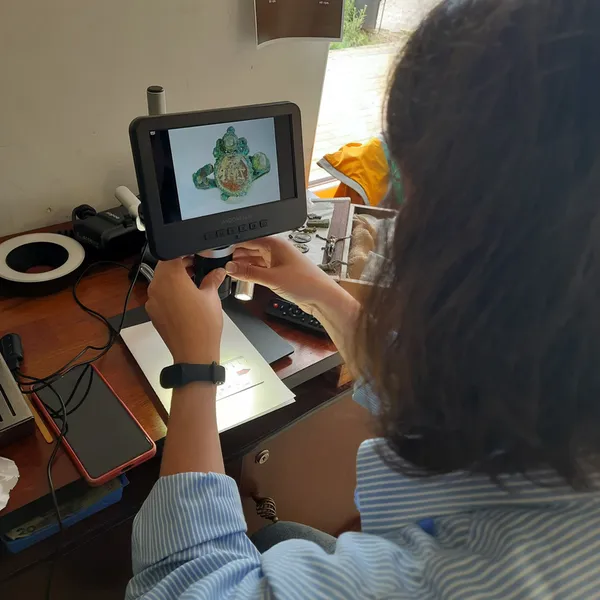 У селі біля Луцька знайшли середньовічні скарби (фото)